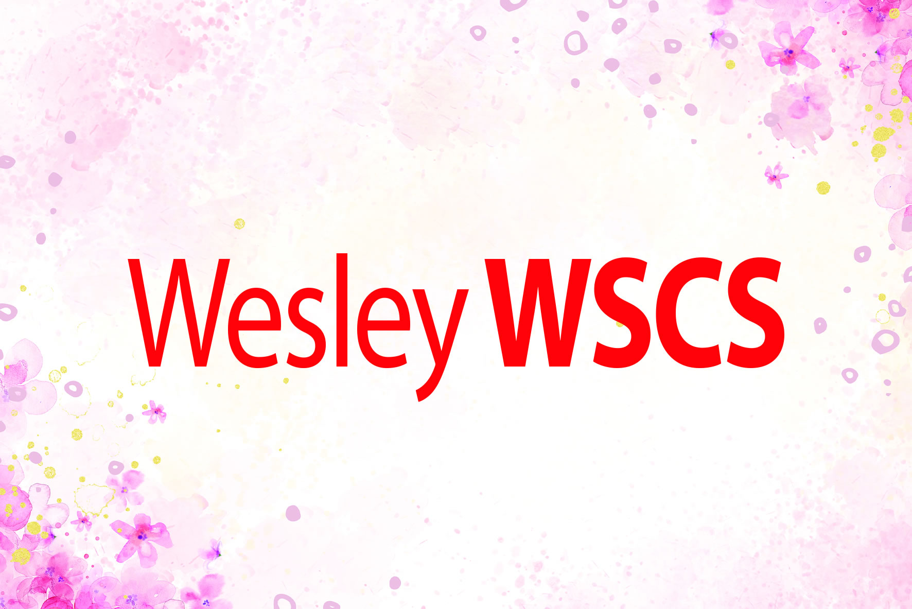 WWSCS - Ministry Programmes