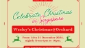 Celebrate Christmas In Singapore